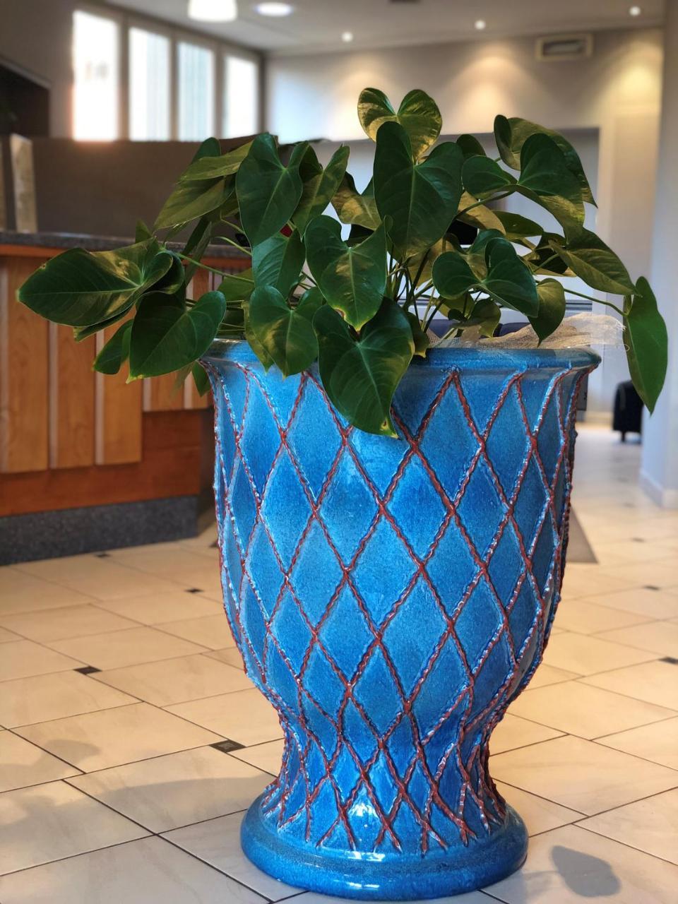 סיניה Hotel Delfina מראה חיצוני תמונה