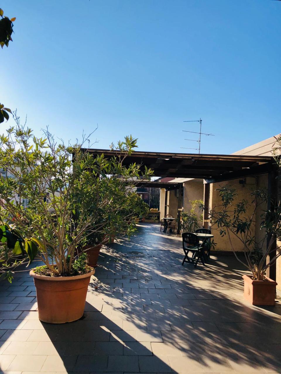 סיניה Hotel Delfina מראה חיצוני תמונה